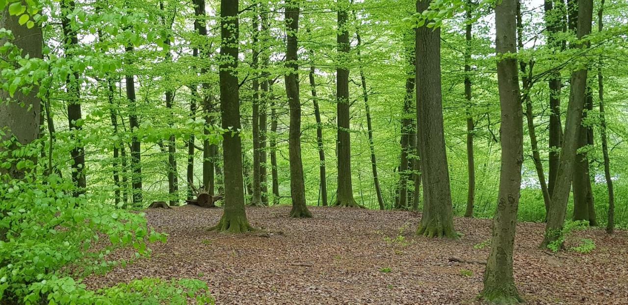 Ferienhaus Heide Bad Fallingbostel Kültér fotó